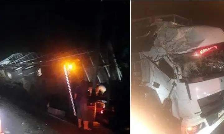 Caminhão carregado com frangos vivos tomba na PR-281