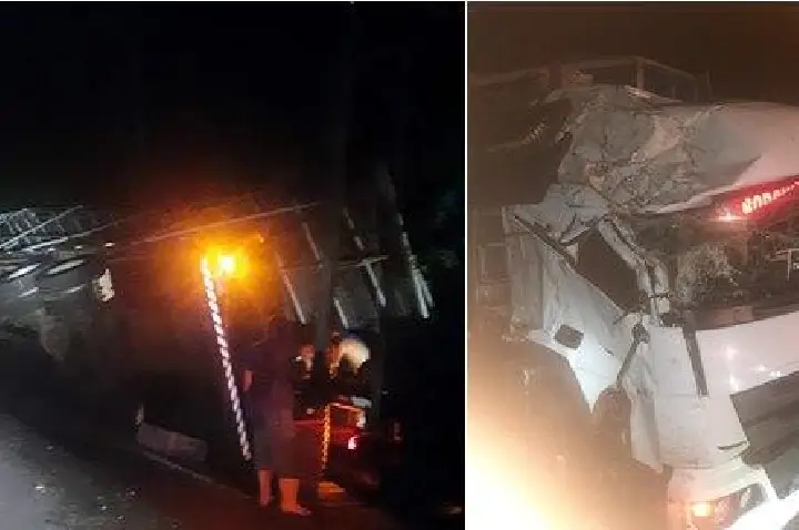 Caminhão carregado com frangos vivos tomba na PR-281