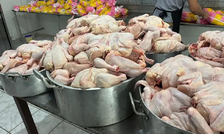 NESTE DOMINGO TEM FRANGO NA LATA!
