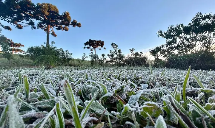 Primeira onda de frio chega ao Paraná semana que vem com termômetros perto de 0ºC