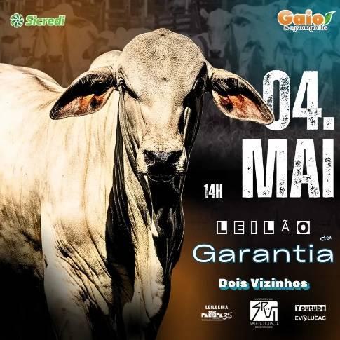 Neste domingo, SRVI promove o Leilão da Garantia