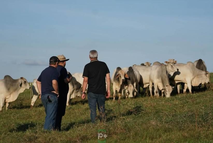 Domingo acontece leilão da Sociedade Rural Vale do Iguaçu com a Fazenda Cotegipe