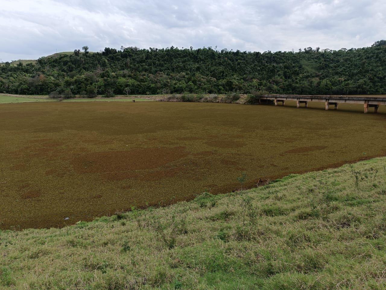“MARREQUINHAS” TOMAM CONTA DO RIO JARACATIÁ E ACENDEM ALERTA AMBIENTAL NA REGIÃO